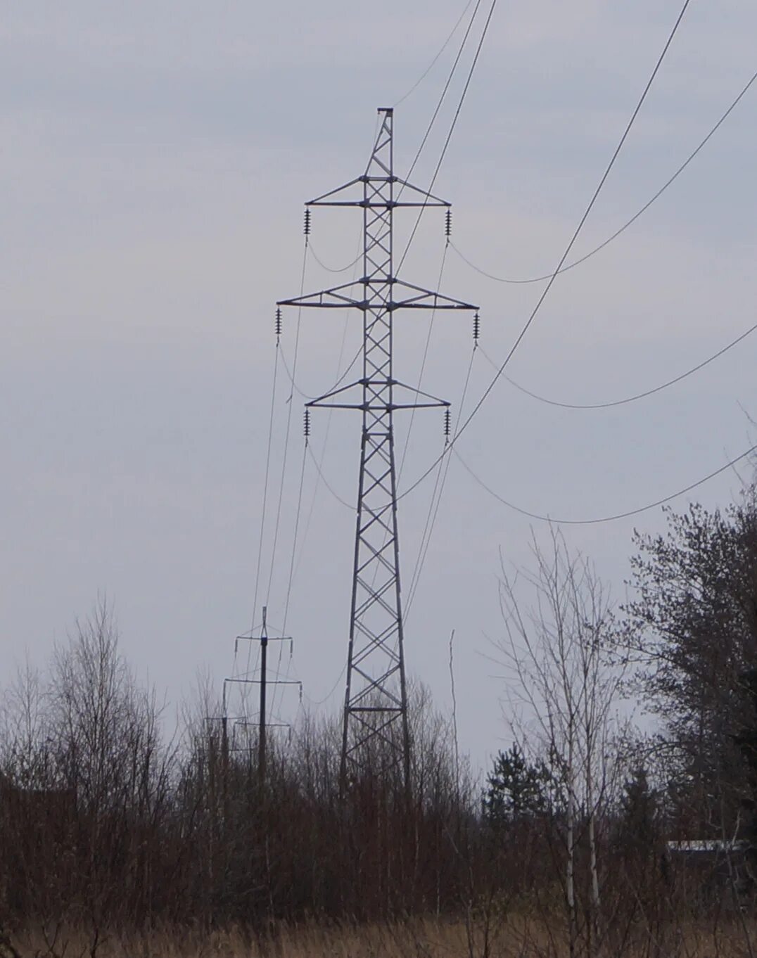 Вл 43