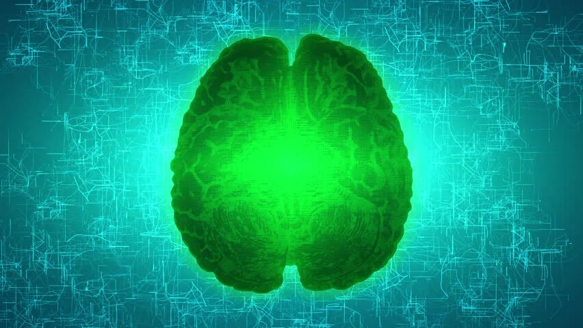 Green brain. Мозг на зеленом фоне. Интеллект в зеленом цвете. Мозг картинки зеленый. Зеленый мозг Герберт.