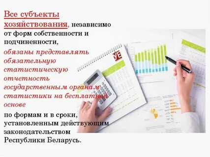 Отчетность в органы
