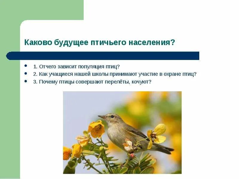 Охрана птиц презентация. Каково быть птицей. Какое значение имеют семена в жизни птиц. Отчего зависит Мааса птицы от чего?.
