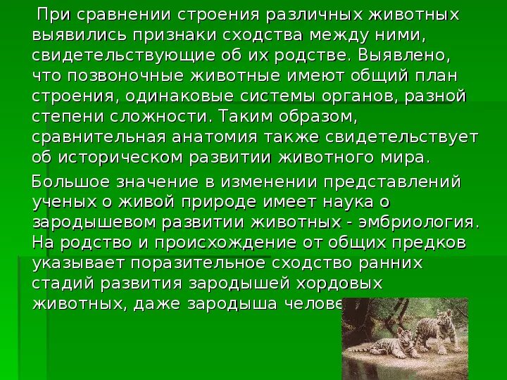 О чем свидетельствует сходство и различие. О чём свидетельствует сходство зародышей и их различия. О чём свидетельствует сходство зародышей и их различия вывод. Вывод о чем свидетельствуют сходства зародышей?. О чем свидетельствуют сходства зародышей и их различия вывод.