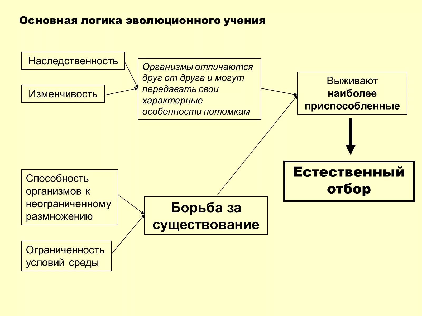 Основные гипотезы эволюции