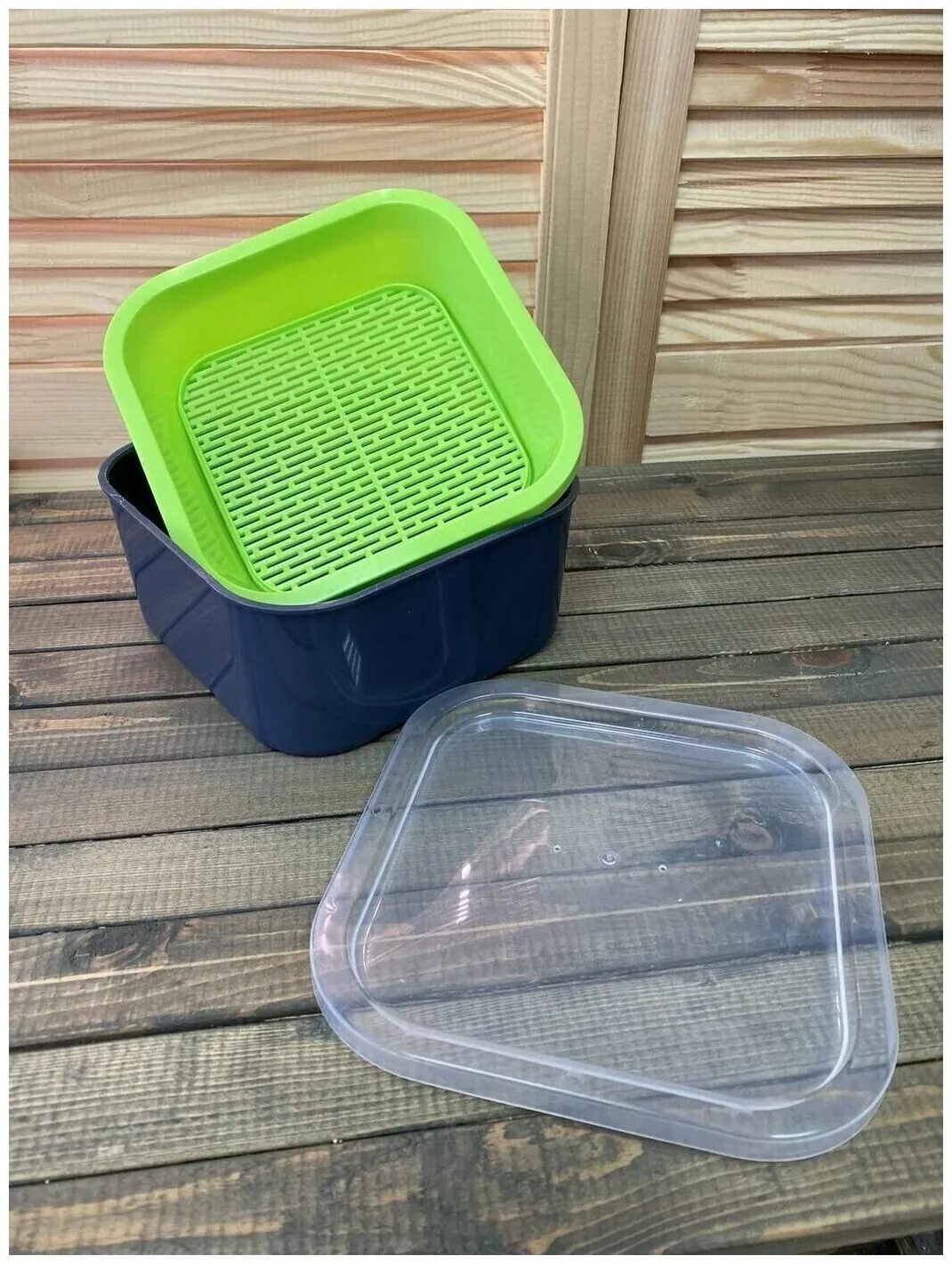 Контейнер для микрозелени. Микрозелень в контейнере. Грин мен микрозелень. Корейская мята микрозелень. Проращиватель семян для микрозелени.