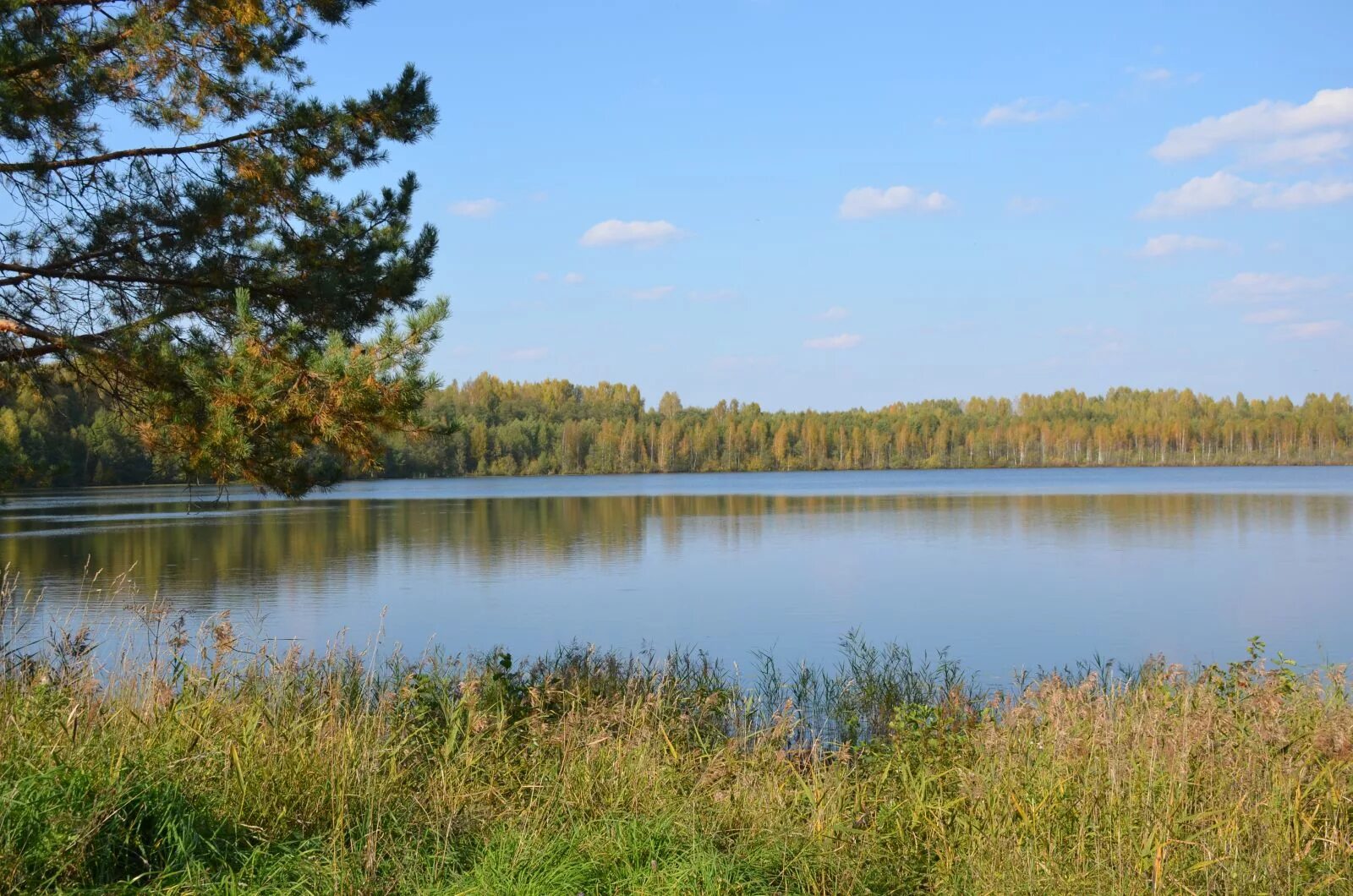 Вышка на озере светлояр. Владимирское нижегородская область светлояр. Кафе светлояр. Озеро светлояр. Владимирское нижегородская область светлояр.