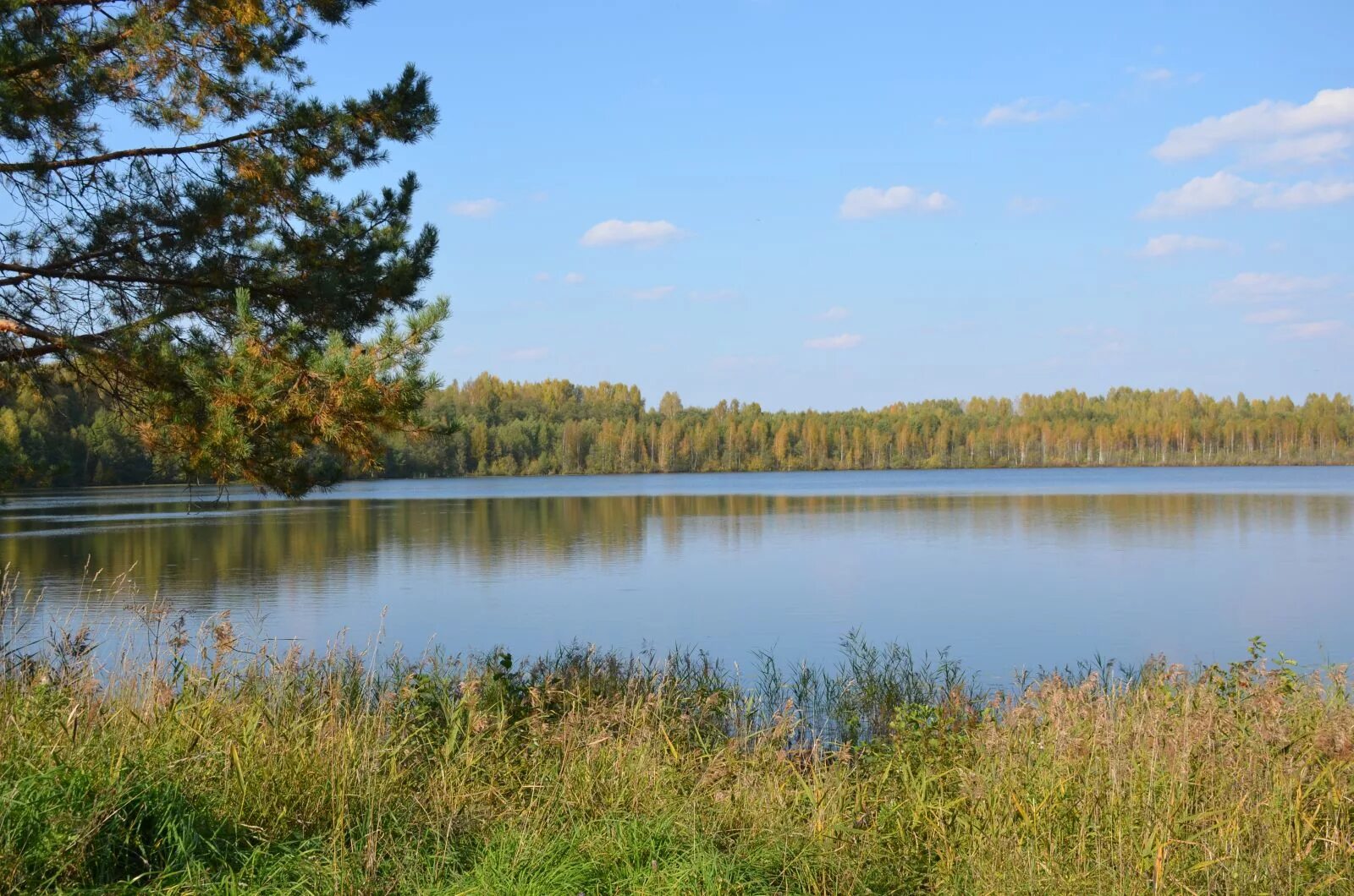 Озеро светлояр какой город. Озеро Светлояр Нижегородская область. Озеро светлое Нижегородская область Воскресенский район. Воскресенское Поветлужье озеро Светлояр. Озеро Светлояр Воскресенского района Нижегородской области.