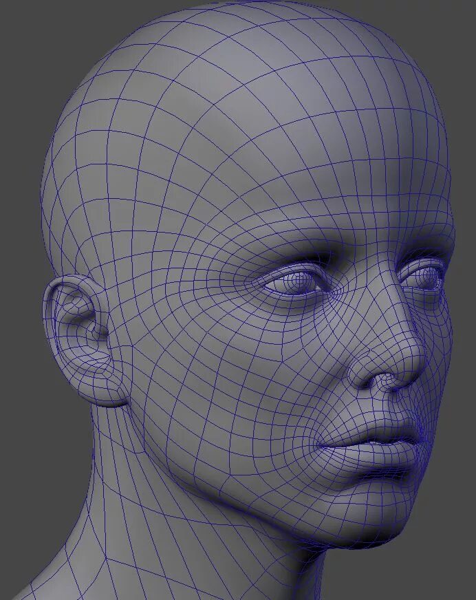 Моделирование 3д ретопология. Голова человека для моделирования. Трехмерная модель. Трехмерная компьютерная Графика.