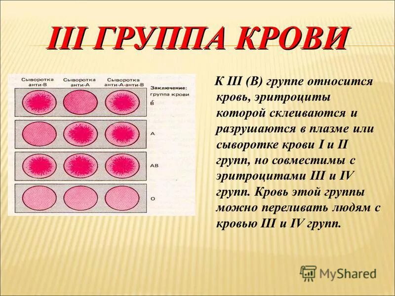 Группа крови клетки. Картинки животных с разным цветом крови.