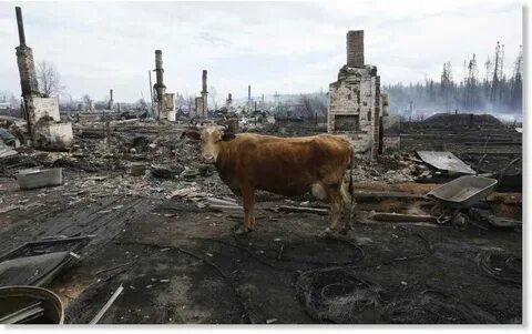 Сибирь последствия