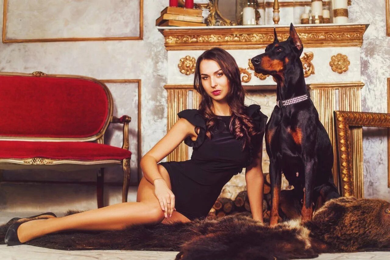 Доберман 2022. Приложение с доберманом. Йована вентура с доберманом. Йована вентура с доберманом. Парная фотосессия с доберманом.