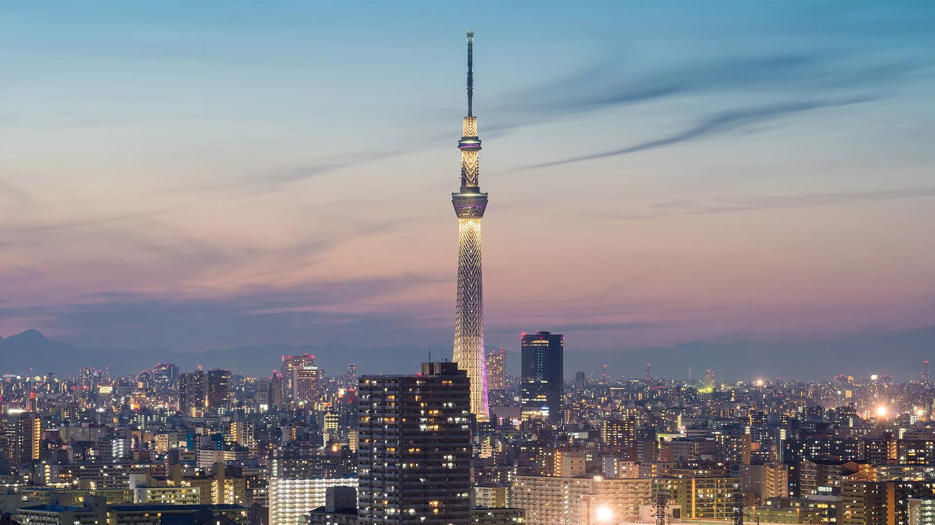 Телевизионная башня Skytree, Токио. Телебашня небесное дерево в Токио. Tokyo Sky Tree Япония. Небесное дерево (Tokyo Skytree). Япония, Токио. Вертикальная башня высотой