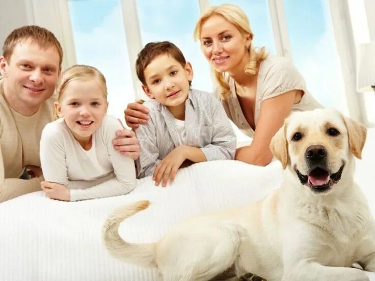 Your family a dog. Семья с собакой. dog family.