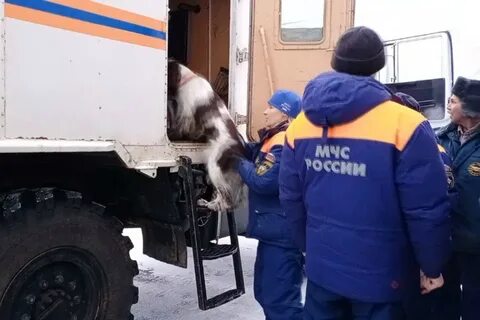 Сторожа хабаровск