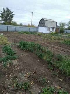 Ивановские сады оренбург