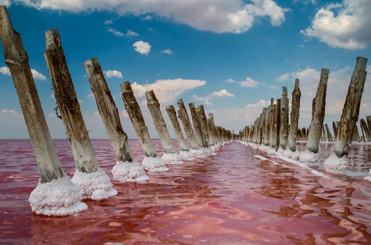 Розовое озеро сиваш. Сасык Сиваш озеро. Сасык-Сиваш Евпатория. Озеро Сасык Сиваш Евпатория. Розовое озеро Сасык-Сиваш.