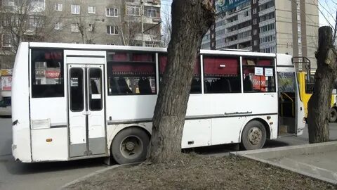 Автобус белинский