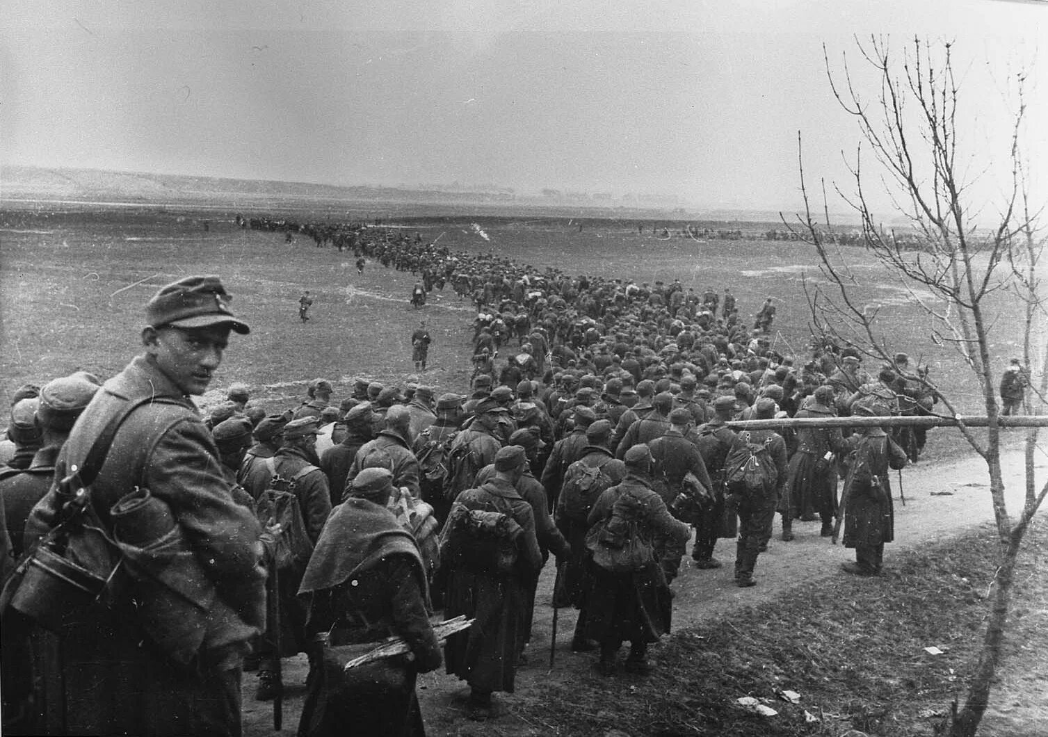 Штурм Кенигсберга 1945. Пленные немецкие солдаты 1945 Кенигсберг. Штурм Кёнигсберга в 1945 году. Вторая мировая военные союзы