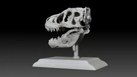 3D Принт Модель. tarbosaurus skull 3d printable model. 