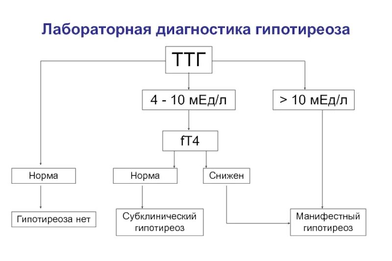 Гипотиреоз лабораторно. Первичный гипотиреоз ТТГ И т4. Гипотиреоз норма ТТГ И т4. Т 4 И ТТГ при гипотериозе. Показатели ТТГ И т4 при гипотиреозе.