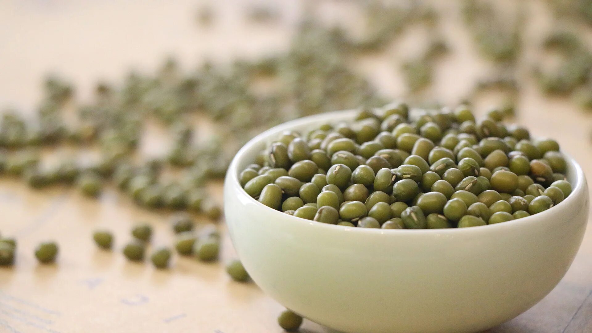 Бобы мунг растение. Маш (vigna radiata). Маш щий. Микрозелень бобы мунг (маш). Бобовая крупа маш.