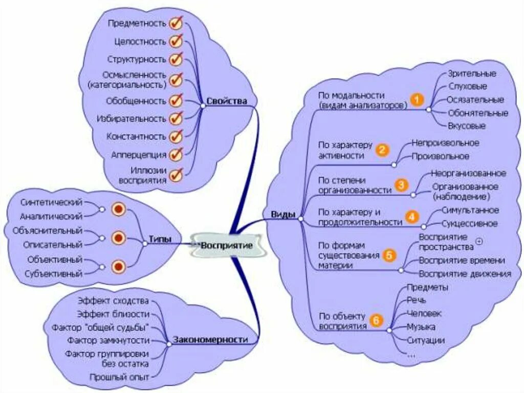 Воспринимающим элементом анализатора являются ответы к тесту. Процесс восприятия схема. Интеллект карта Познавательные процессы. Ментальная карта ощущение. Интеллект карта восприятие.