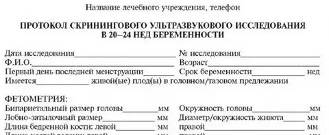Протокол беременности