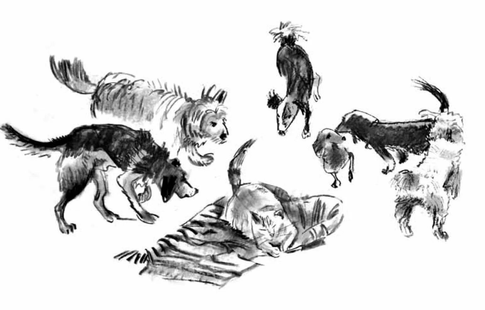 Собачья гордость иллюстрации. Иллюстрации из книжек собаки. Собачья гордость читать