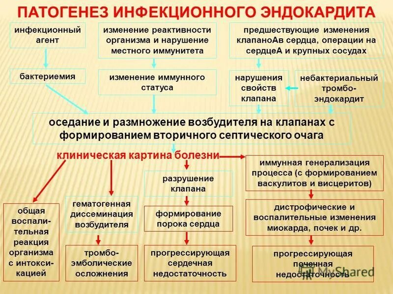 Инфекционный эндокардит. Инфекционный эндокардит патогенез схема. Инфекционный эндокардит этиология. Патогенетические механизмы инфекционного эндокардита. Инфекционный эндокардит патогенез стадии.