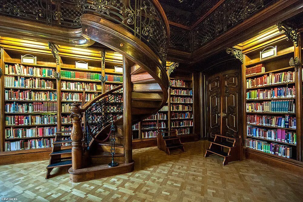 Создание библиотеки книг. Библиотека в будапеште. старинная библиотека. красивая библиотека. большие библиотеки.