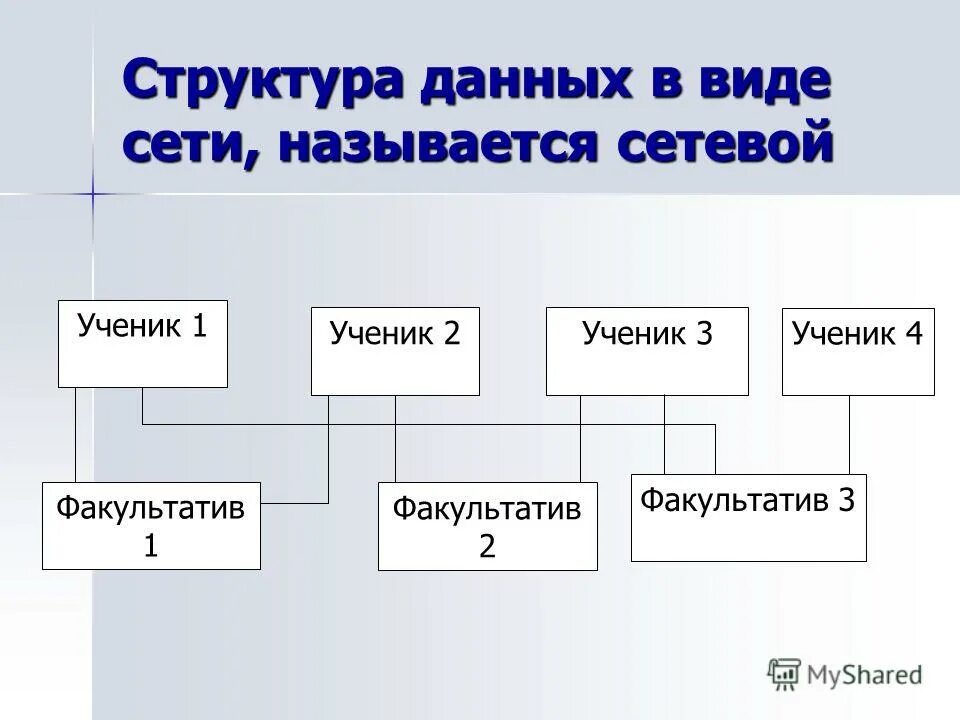 База данных информация о человеке