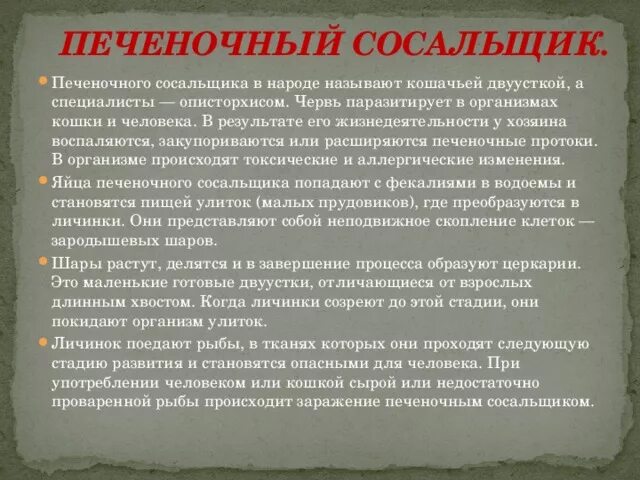 Способ заражения человека печеночным сосальщиком. Как происходит заражение человека печеночным сосальщиком. Может ли человек заразиться печеночным сосальщиком. Печеночный сосальщик пути заражения. Печеночный сосальщик заражение и профилактика.