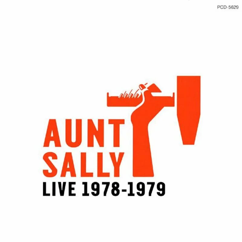 Тётушка салли. Тётушка салли. Please excuse my dear aunt sally. Proper aunt. Aunt sally перевод идиомы.