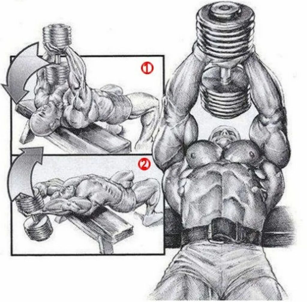 Грудные гантелями дома. Упражнения для накачивания грудных мышц. Упражнения для прокачки грудных мышц. Упражнения для накачивания грудных мышц для мужчин с гантелями. Прокачка грудных мышц гантелями.