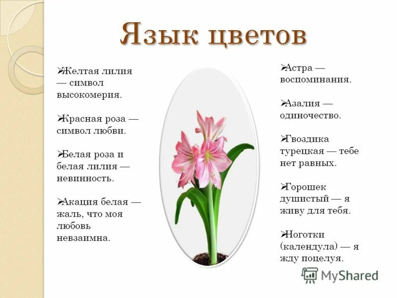 Время в цветах значение