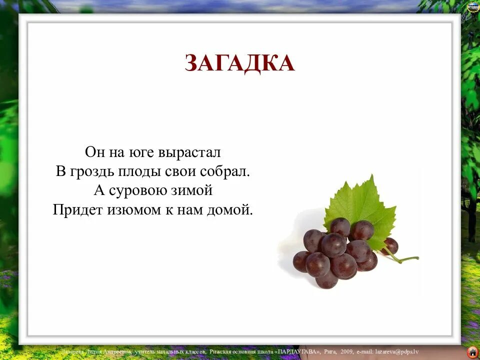 Загадки про плоды. Плоды на юге растут. Он на юге вырастал в гроздь плоды свои собрал а суровою зимой придет. Что выращивают на юге. Загадки про народ