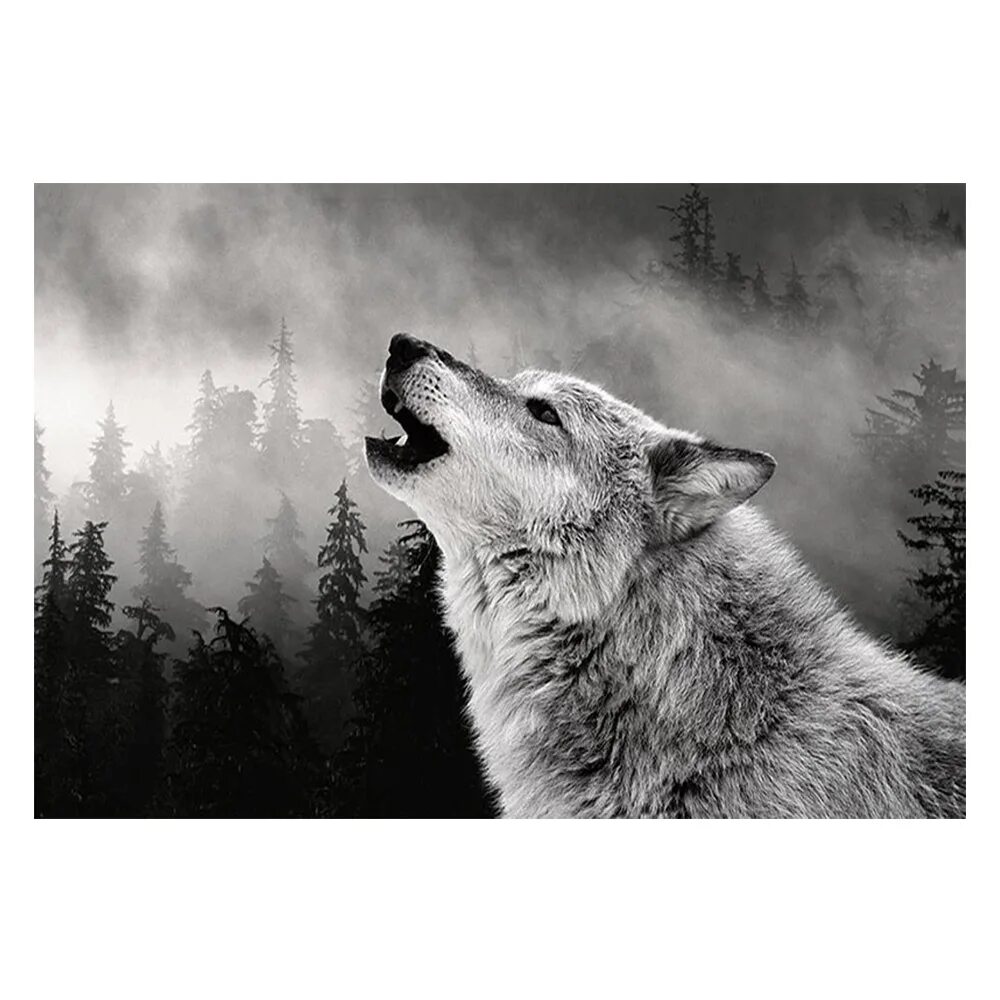 Одинокий волк лучшие песни. Волк одиночка. Взгляд волка. Одинокий волк. Грустный волк.