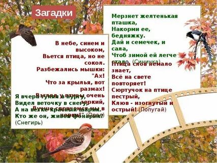 Птица слушать текст