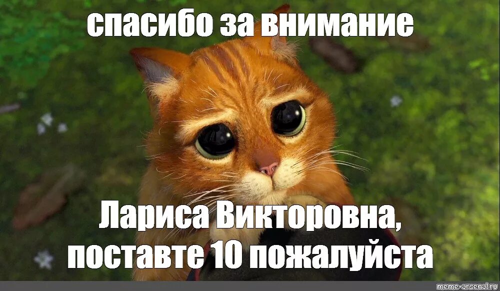 Спасибо за внимание поставьте 5. Поставьте пять для презентации. Спасибо за внимание котик. Поставьте пять пожалуйста. Five thanks