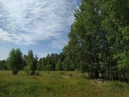 Погода в ильгощах