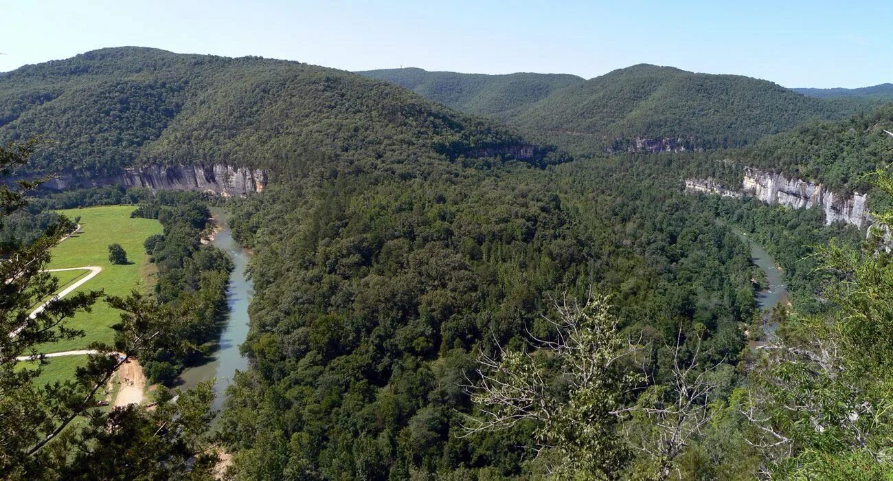 Mo view