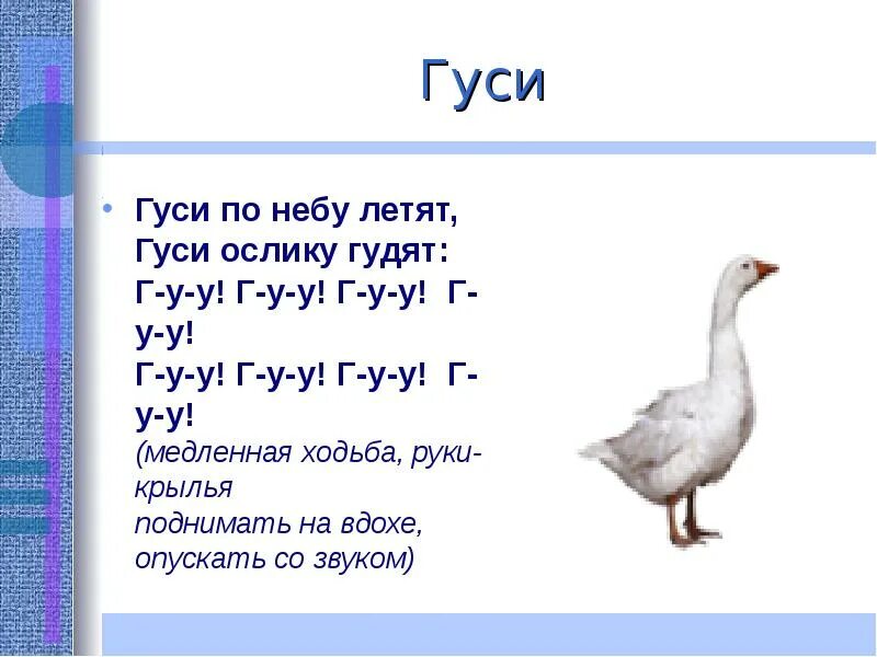 Согласные звуки в слове гуси. Гусь птица высота. Загадка про гуся. Гуси улетают. Доклад про гуся.