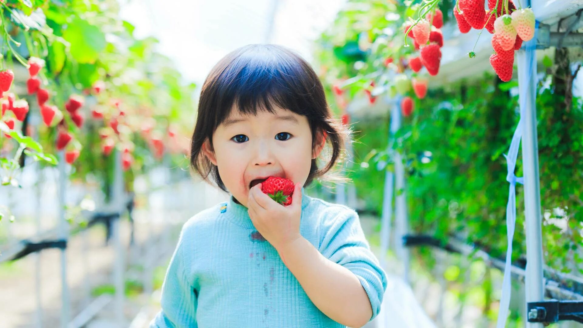Дети кулинары. Девочка и мороженое. Japanese kids eat a good. Japanese kids eat a good. Япония девочки маленькие.