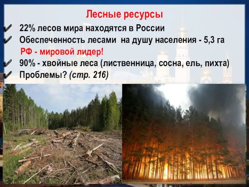 Лесные ресурсы России. Лесные ресурсы России кратко. Запасы лесных ресурсов России. Лесное богатство россии
