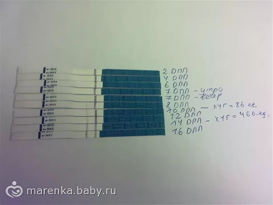 Тесты после эко. Тест на беременность после эко. ХГЧ тест на беременность. Тесты на беременность по дням.