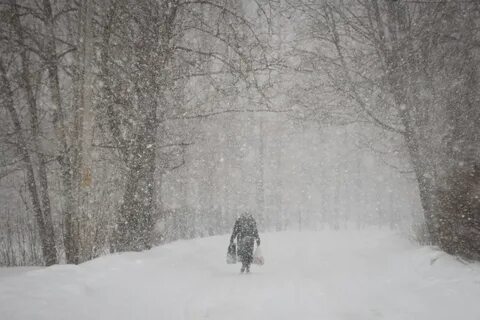 Зима решает