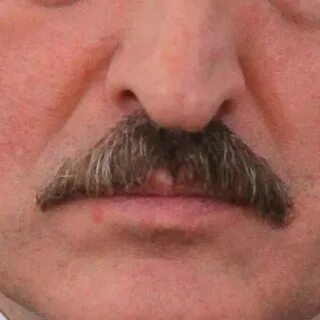 Усы лукашенко