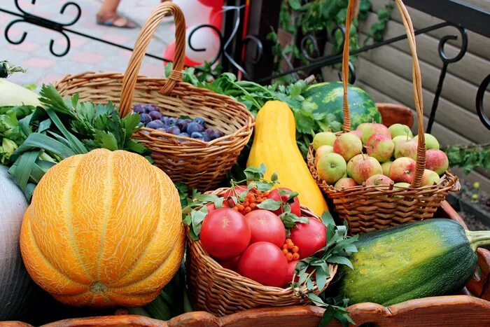 Сельское хозяйство овощи. Овощи. Овощной рынок. Аграрно продовольственный. Продовольственный рынок.