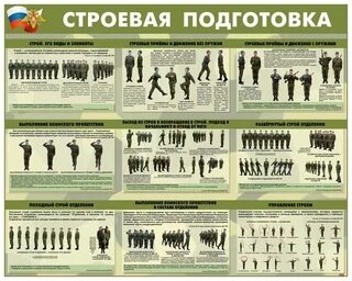 Псп строевая
