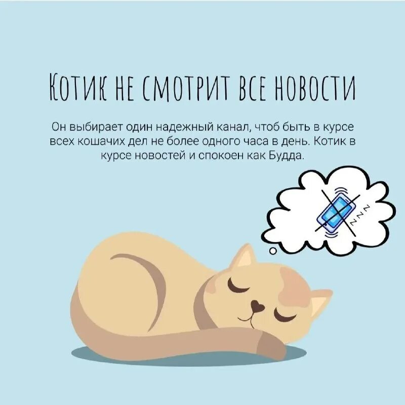 коте 1 час. всемирный день котов. коте 1 час. для вскармливания котят. мем котик с часами пора.