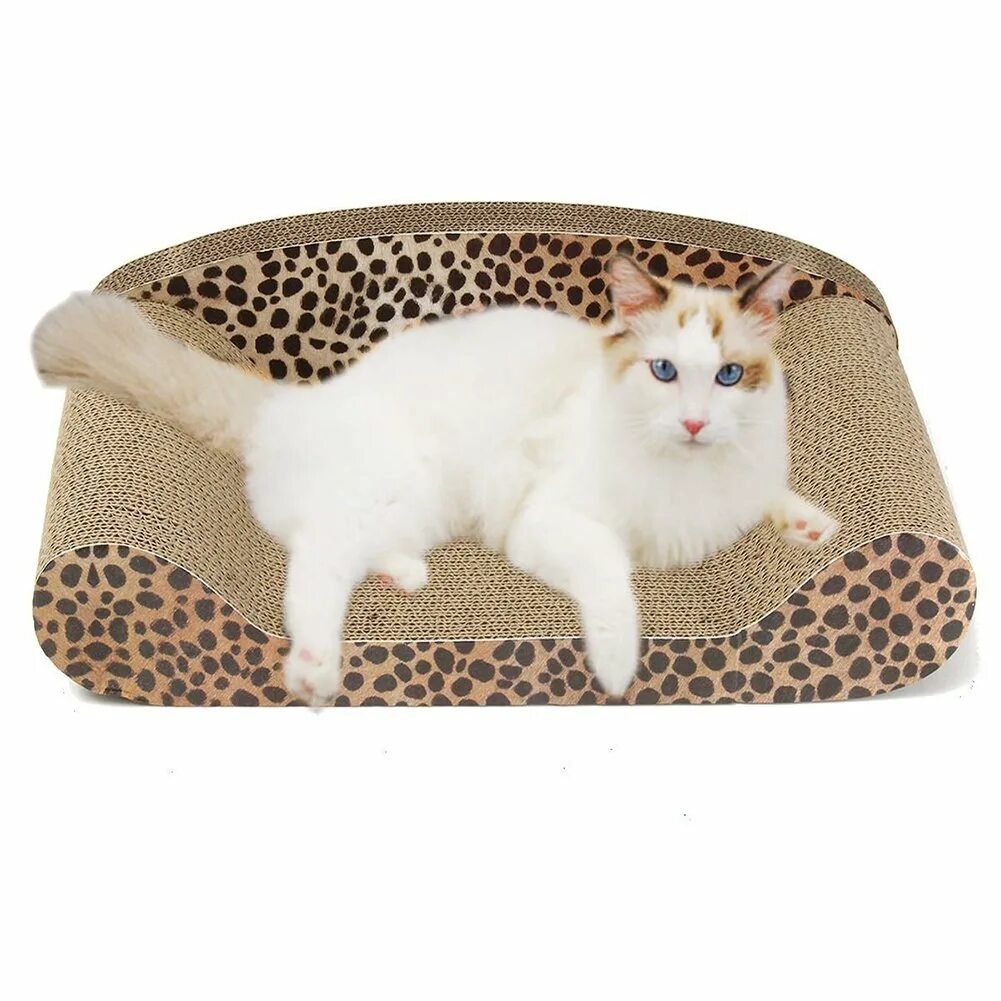 Игрушечные кошки софа. Кэт энд софа. Игрушечные кошки софа. Кэт энд софа. Популярная кошка софа.