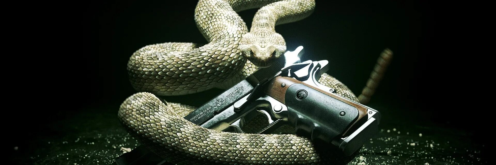 Хитман абсолюшен змея. Змей с пистолетом. Змея с пистолетом. Револьвер змей. Змеи трейлер на русском